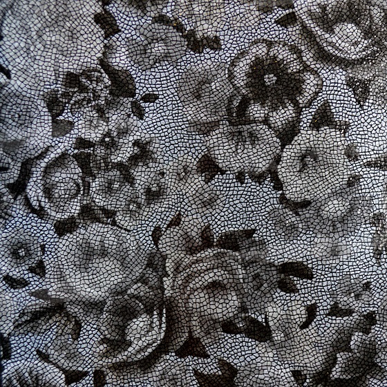 Fiore noir