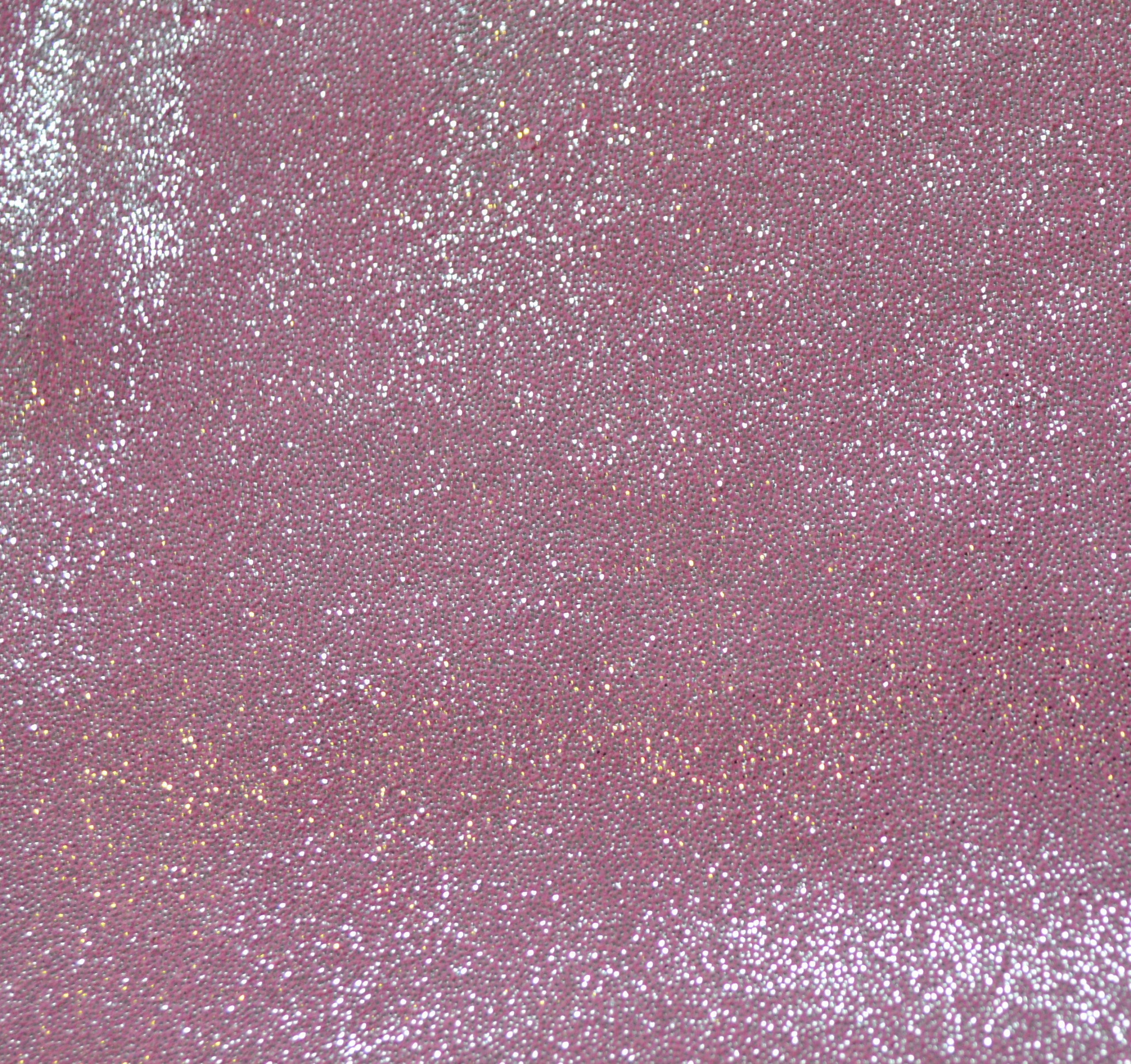 Comet Fuchsia
