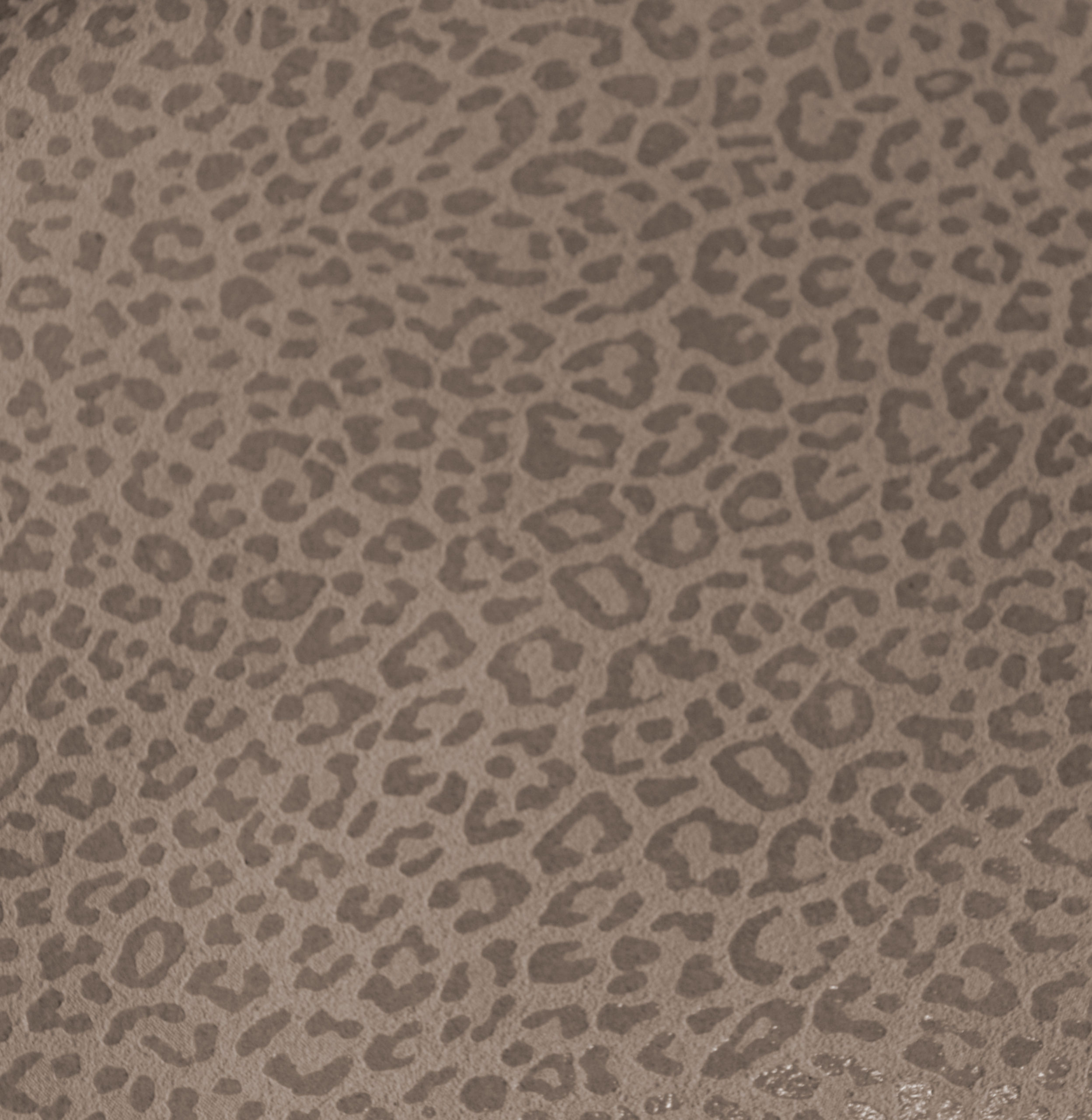 LEOPARDO TORTOLA