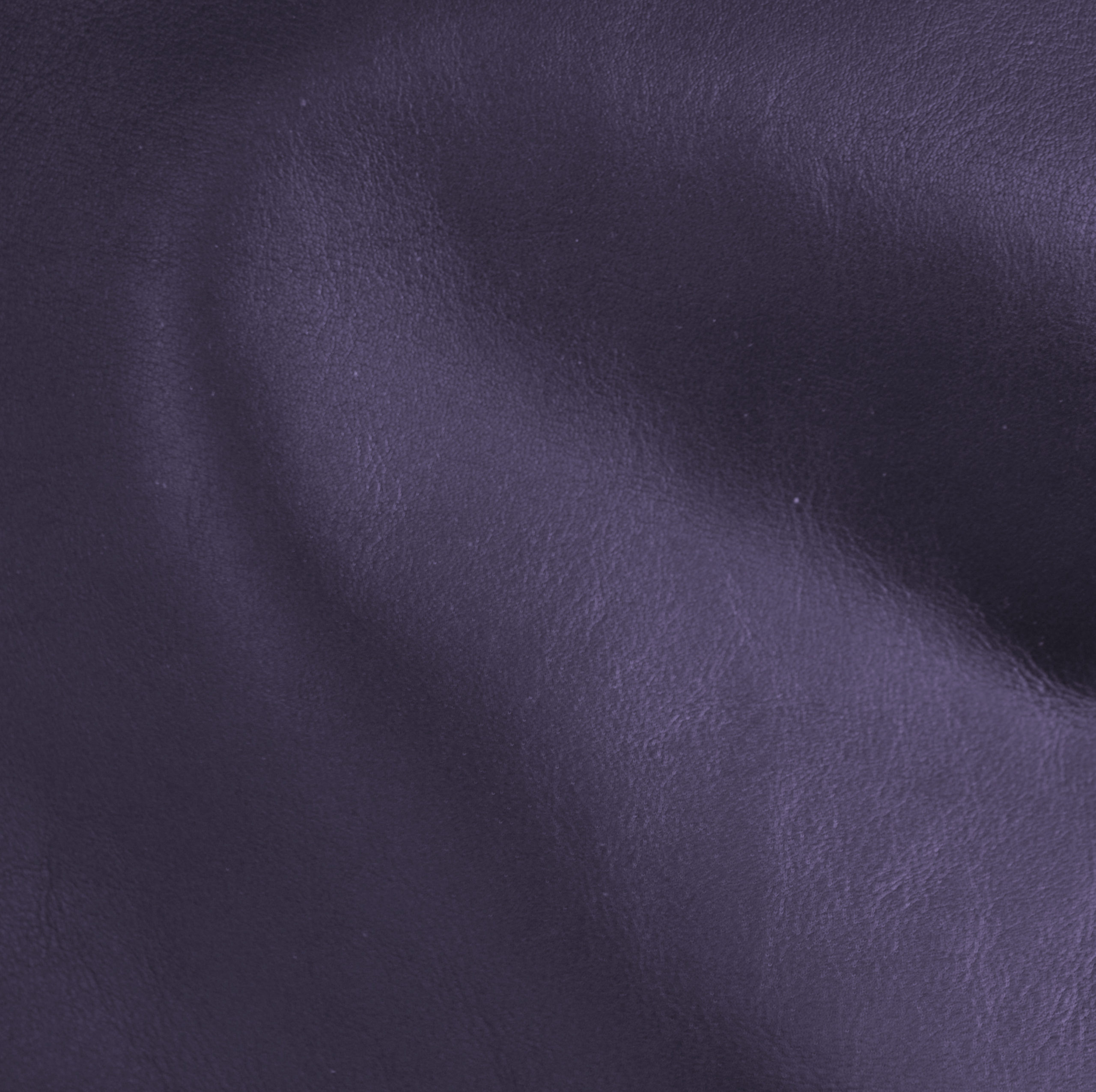 palace violet